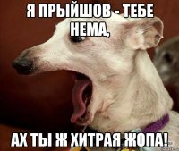 я прыйшов - тебе нема, ах ты ж хитрая жопа!