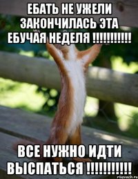 ебать не ужели закончилась эта ебучая неделя !!! все нужно идти выспаться !!!