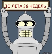 До лета 38 недель!