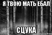 я твою мать ебал сцука