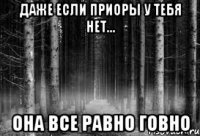 даже если приоры у тебя нет... она все равно говно