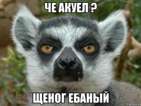 че акуел ? щеног ебаный