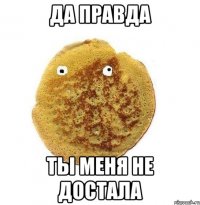 да правда ты меня не достала