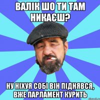 валік шо ти там никаєш? ну ніхуя собі він піднявся, вже парламент курить