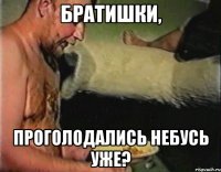 братишки, проголодались небусь уже?