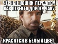 чёрные кошки, перед тем как перейти дорогу чаку красятся в белый цвет.