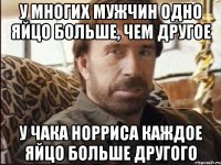 у многих мужчин одно яйцо больше, чем другое у чака норриса каждое яйцо больше другого