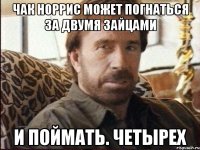 чак норрис может погнаться за двумя зайцами и поймать. четырех