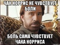 чак норрис не чувствует боли боль сама чувствует чака норриса