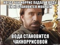 когда чак норрис падает в воду, он не становится мокрым вода становится чакноррисовой