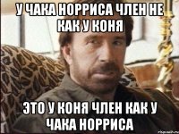 у чака норриса член не как у коня это у коня член как у чака норриса