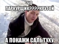 чо паркурщик???крутой а покажи сальтуху