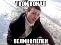 твой вокал великолепен