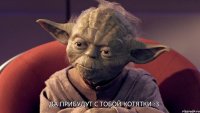 Да прибудут с тобой котятки :3