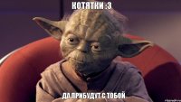 Да прибудут с тобой котятки :3