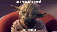 котятки :3 Да прибудут с тобой
