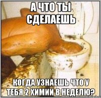 а что ты сделаешь когда узнаешь что у тебя 2 химии в неделю?