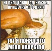 не пил целый год ,нюхнул кришечку от водки и тут я понял что меня накрыло