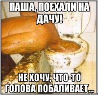 паша, поехали на дачу! не хочу, что-то голова побаливает...