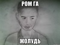 ром га жолудь