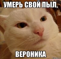 умерь свой пыл, вероника