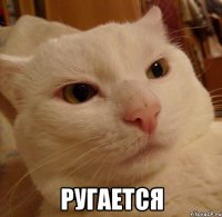  ругается