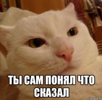  ты сам понял что сказал