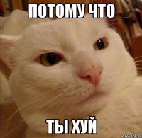 потому что ты хуй