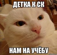 детка к ск нам на учёбу