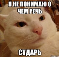 я не понимаю о чем речь сударь