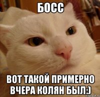 босс вот такой примерно вчера колян был:)