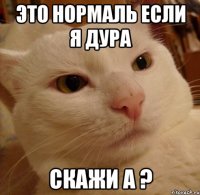 это нормаль если я дура скажи а ?
