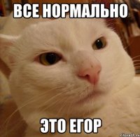все нормально это егор