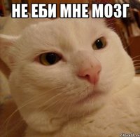 не еби мне мозг 