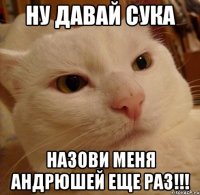 ну давай сука назови меня андрюшей еще раз!!!