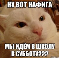 ну вот нафига мы идём в школу в субботу???