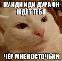 ну иди иди дура он ждёт тебя чёр мне косточьки