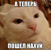 а теперь пошел нахуй.