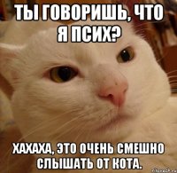 ты говоришь, что я псих? хахаха, это очень смешно слышать от кота.