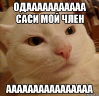 одааааааааааа саси мой член аааааааааааааааа