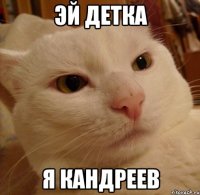 эй детка я кандреев