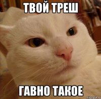 твой треш гавно такое