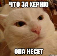 что за херню она несет