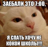 заебали это 7:00, я спать хочу не кокой школы!!!