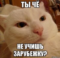 ты чё не учишь зарубежку?