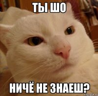 ты шо ничё не знаеш?