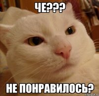 че??? не понравилось?