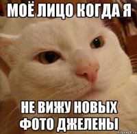 моё лицо когда я не вижу новых фото джелены