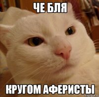 че бля кругом аферисты