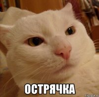  острячка